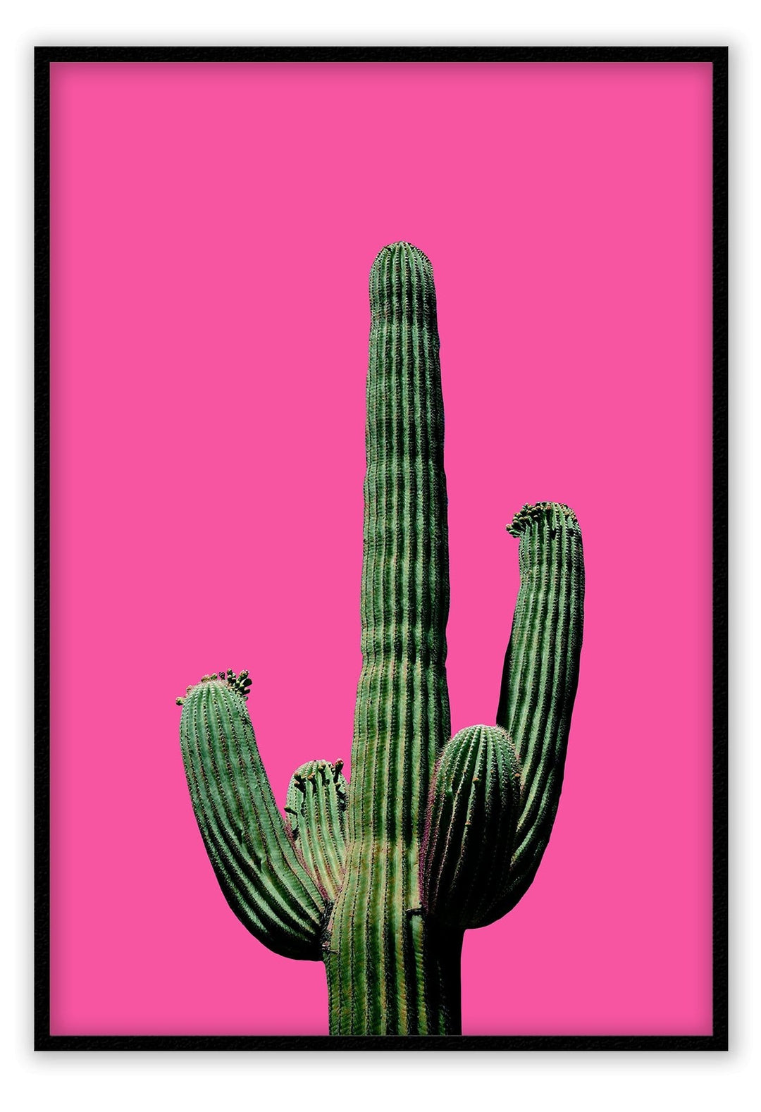 Canvas Print Small		50x70cm / Black Fluro Cactus Fluro Cactus Framed Print Brand