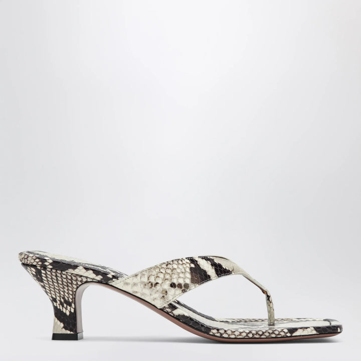 Paris Texas - Python-print thong slides Brand Shoes 36 IT